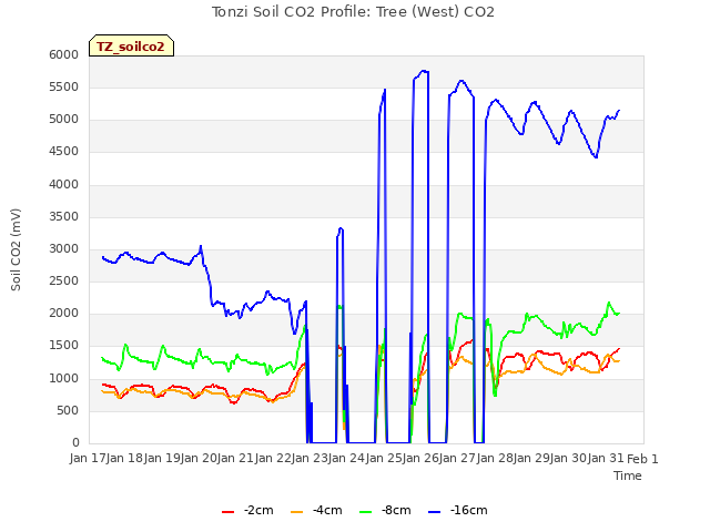 plot of Tonzi Soil CO2 Profile: Tree (West) CO2