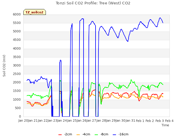 plot of Tonzi Soil CO2 Profile: Tree (West) CO2