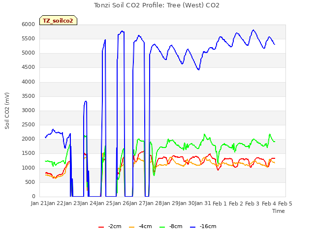 plot of Tonzi Soil CO2 Profile: Tree (West) CO2