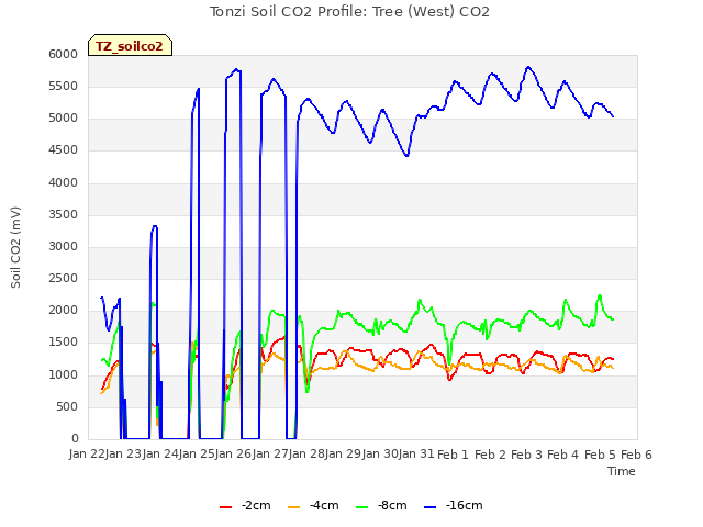 plot of Tonzi Soil CO2 Profile: Tree (West) CO2