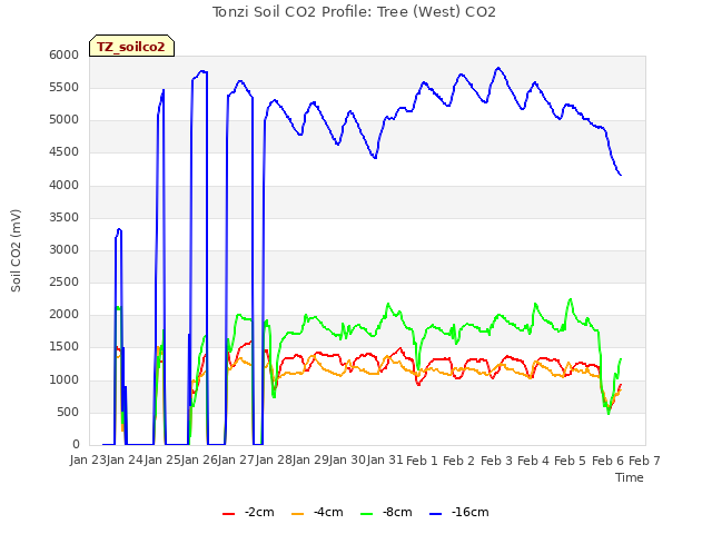 plot of Tonzi Soil CO2 Profile: Tree (West) CO2