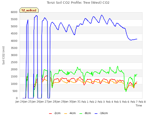 plot of Tonzi Soil CO2 Profile: Tree (West) CO2