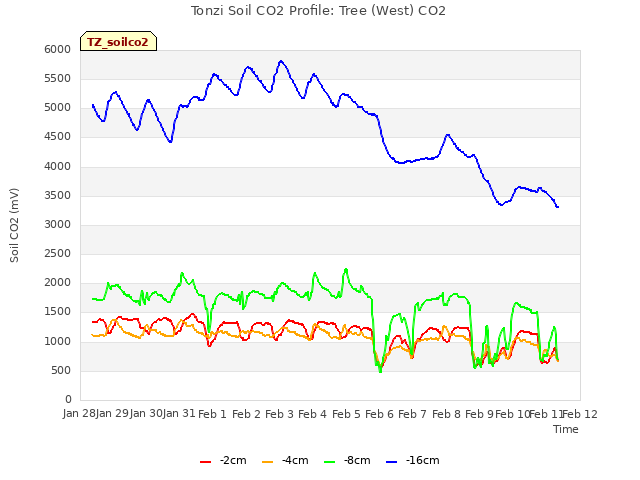 plot of Tonzi Soil CO2 Profile: Tree (West) CO2