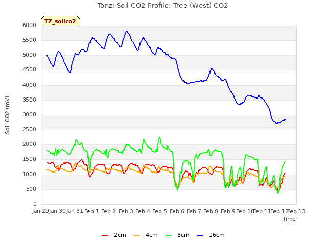 plot of Tonzi Soil CO2 Profile: Tree (West) CO2