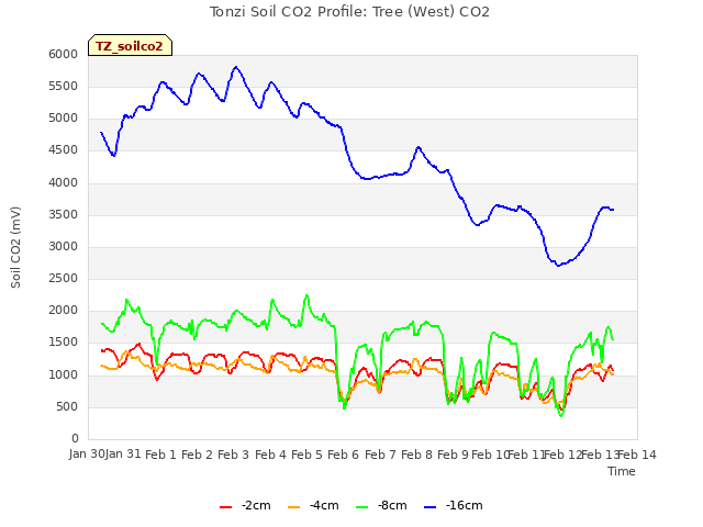 plot of Tonzi Soil CO2 Profile: Tree (West) CO2