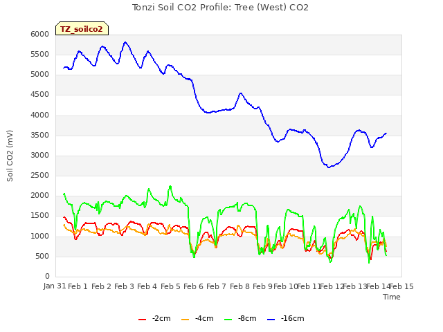 plot of Tonzi Soil CO2 Profile: Tree (West) CO2