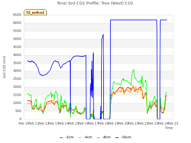 plot of Tonzi Soil CO2 Profile: Tree (West) CO2