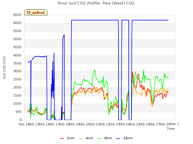 plot of Tonzi Soil CO2 Profile: Tree (West) CO2