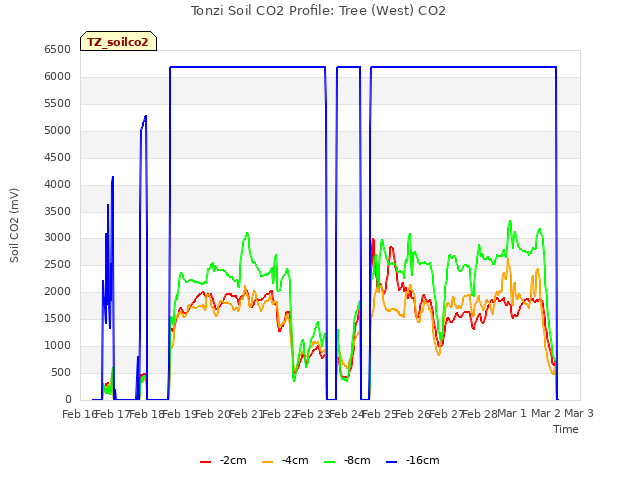 plot of Tonzi Soil CO2 Profile: Tree (West) CO2