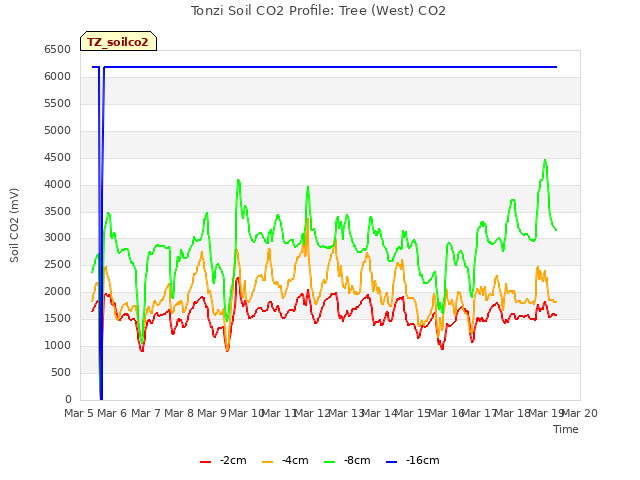 plot of Tonzi Soil CO2 Profile: Tree (West) CO2