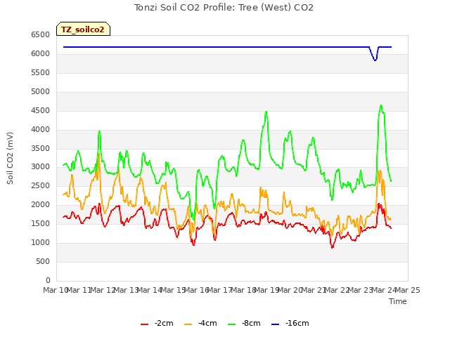 plot of Tonzi Soil CO2 Profile: Tree (West) CO2