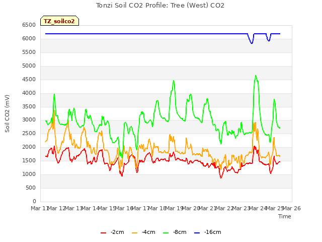 plot of Tonzi Soil CO2 Profile: Tree (West) CO2