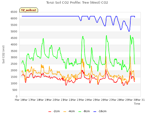 plot of Tonzi Soil CO2 Profile: Tree (West) CO2