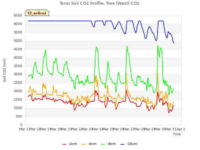 plot of Tonzi Soil CO2 Profile: Tree (West) CO2