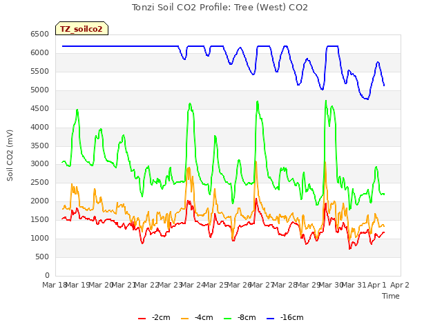 plot of Tonzi Soil CO2 Profile: Tree (West) CO2