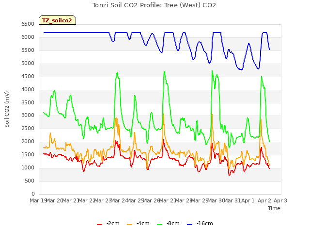 plot of Tonzi Soil CO2 Profile: Tree (West) CO2