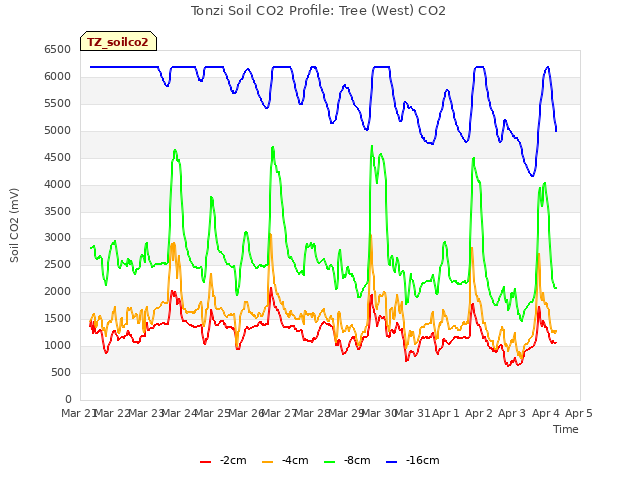 plot of Tonzi Soil CO2 Profile: Tree (West) CO2