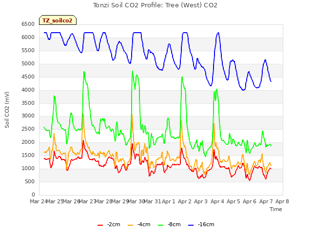 plot of Tonzi Soil CO2 Profile: Tree (West) CO2