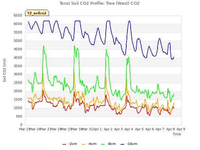 plot of Tonzi Soil CO2 Profile: Tree (West) CO2