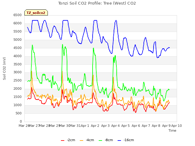 plot of Tonzi Soil CO2 Profile: Tree (West) CO2