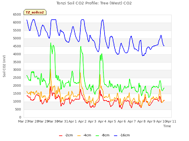 plot of Tonzi Soil CO2 Profile: Tree (West) CO2