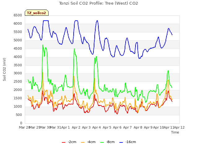 plot of Tonzi Soil CO2 Profile: Tree (West) CO2