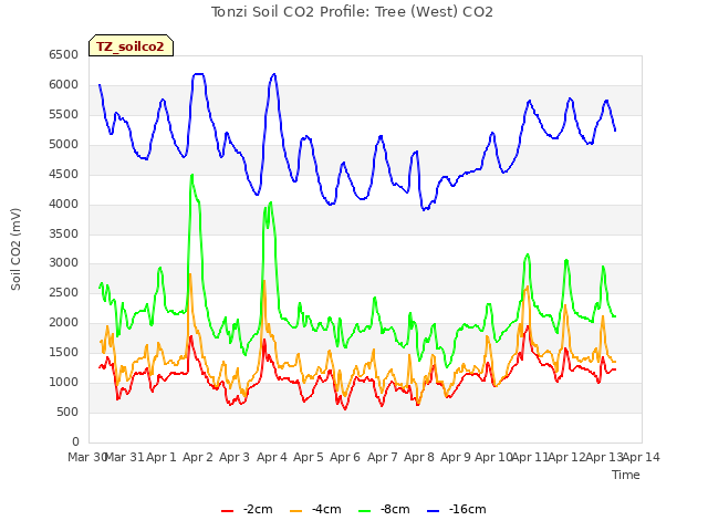 plot of Tonzi Soil CO2 Profile: Tree (West) CO2