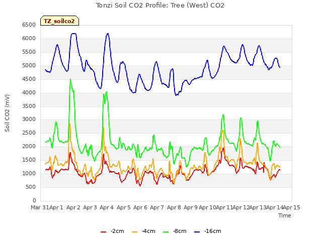 plot of Tonzi Soil CO2 Profile: Tree (West) CO2