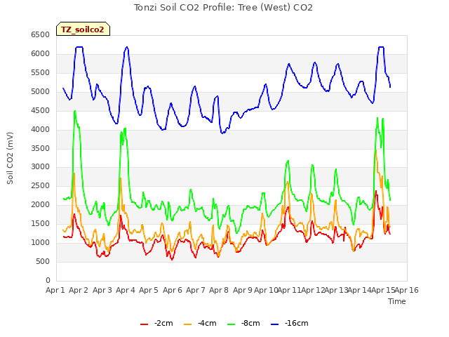 plot of Tonzi Soil CO2 Profile: Tree (West) CO2