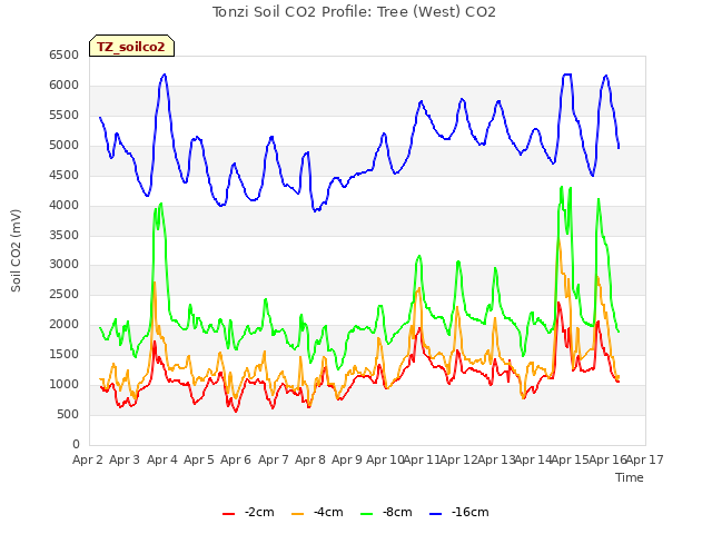 plot of Tonzi Soil CO2 Profile: Tree (West) CO2