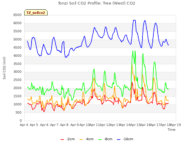 plot of Tonzi Soil CO2 Profile: Tree (West) CO2