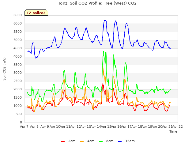 plot of Tonzi Soil CO2 Profile: Tree (West) CO2