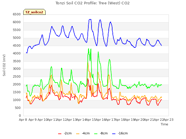 plot of Tonzi Soil CO2 Profile: Tree (West) CO2