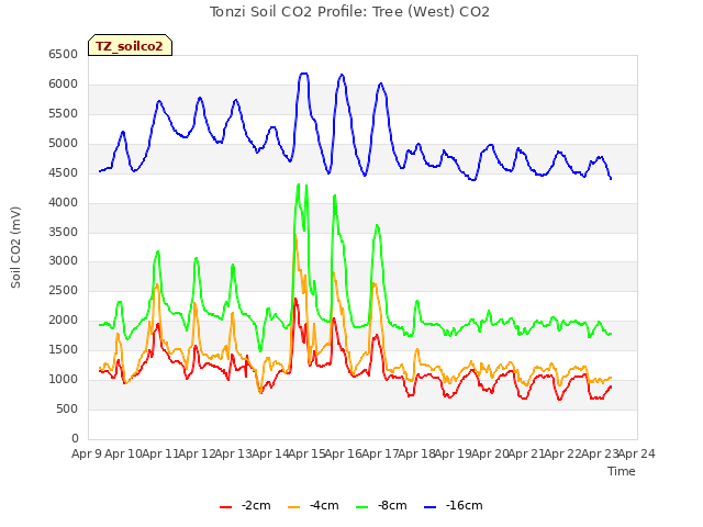 plot of Tonzi Soil CO2 Profile: Tree (West) CO2