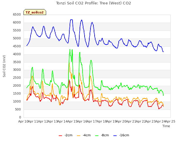 plot of Tonzi Soil CO2 Profile: Tree (West) CO2