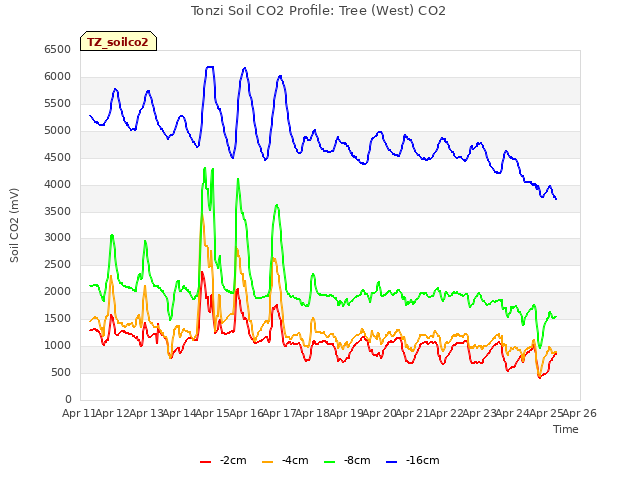 plot of Tonzi Soil CO2 Profile: Tree (West) CO2