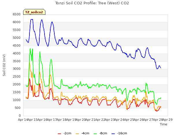 plot of Tonzi Soil CO2 Profile: Tree (West) CO2