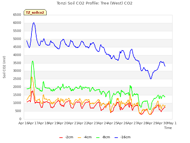 plot of Tonzi Soil CO2 Profile: Tree (West) CO2