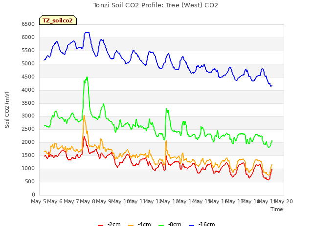 plot of Tonzi Soil CO2 Profile: Tree (West) CO2