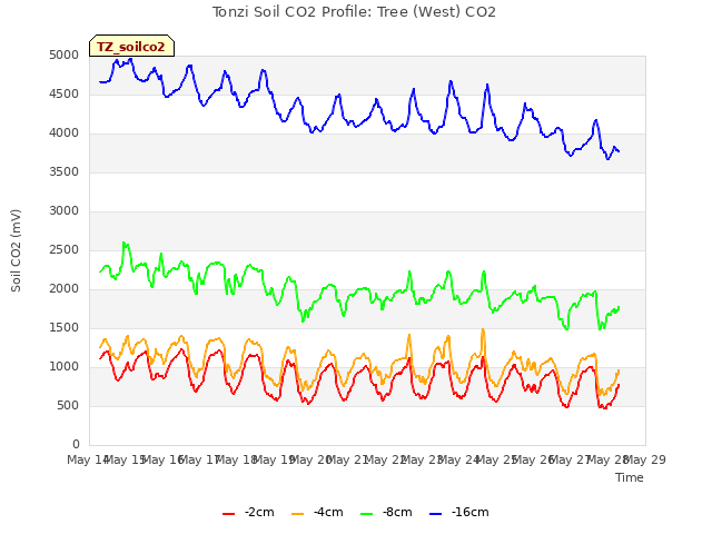 plot of Tonzi Soil CO2 Profile: Tree (West) CO2