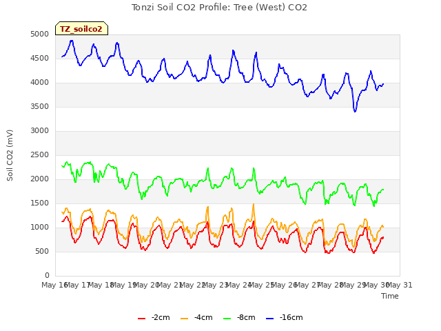 plot of Tonzi Soil CO2 Profile: Tree (West) CO2