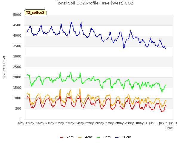 plot of Tonzi Soil CO2 Profile: Tree (West) CO2