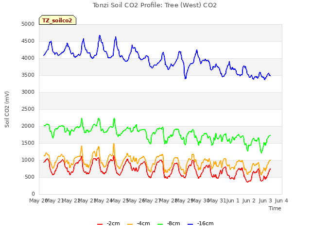 plot of Tonzi Soil CO2 Profile: Tree (West) CO2