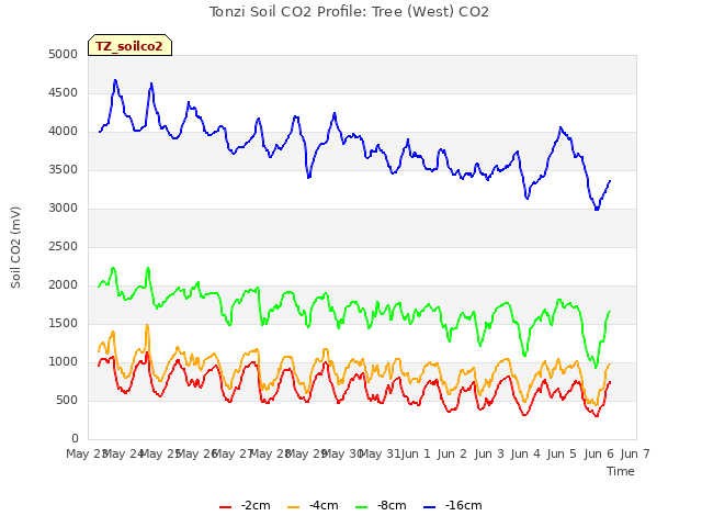 plot of Tonzi Soil CO2 Profile: Tree (West) CO2