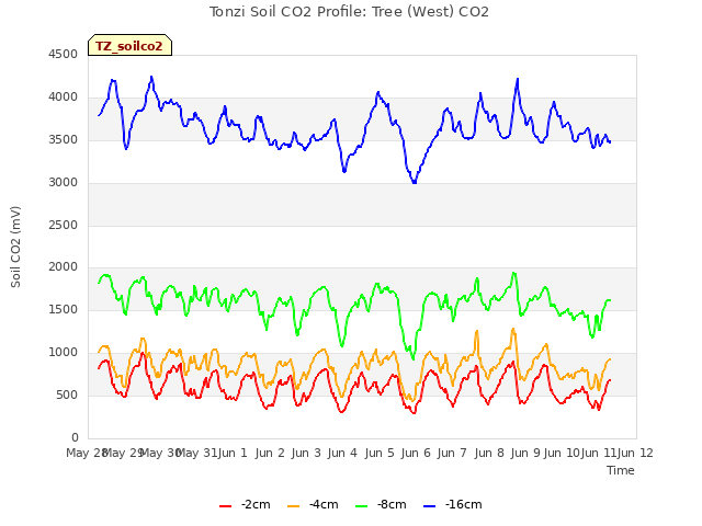 plot of Tonzi Soil CO2 Profile: Tree (West) CO2