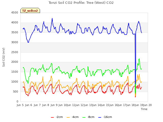 plot of Tonzi Soil CO2 Profile: Tree (West) CO2