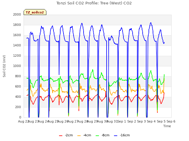 plot of Tonzi Soil CO2 Profile: Tree (West) CO2