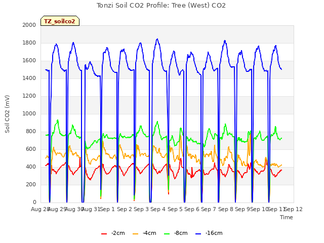 plot of Tonzi Soil CO2 Profile: Tree (West) CO2