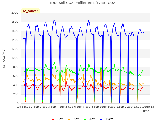 plot of Tonzi Soil CO2 Profile: Tree (West) CO2