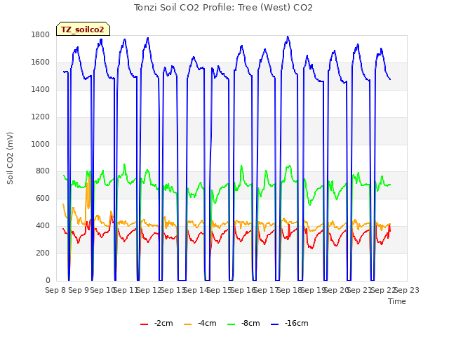 plot of Tonzi Soil CO2 Profile: Tree (West) CO2